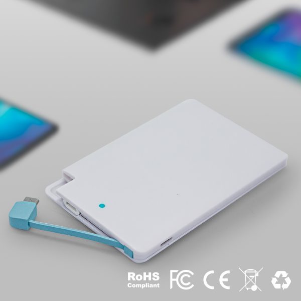 Emory 2500 mAh Slim Portable Power Bank with Cable