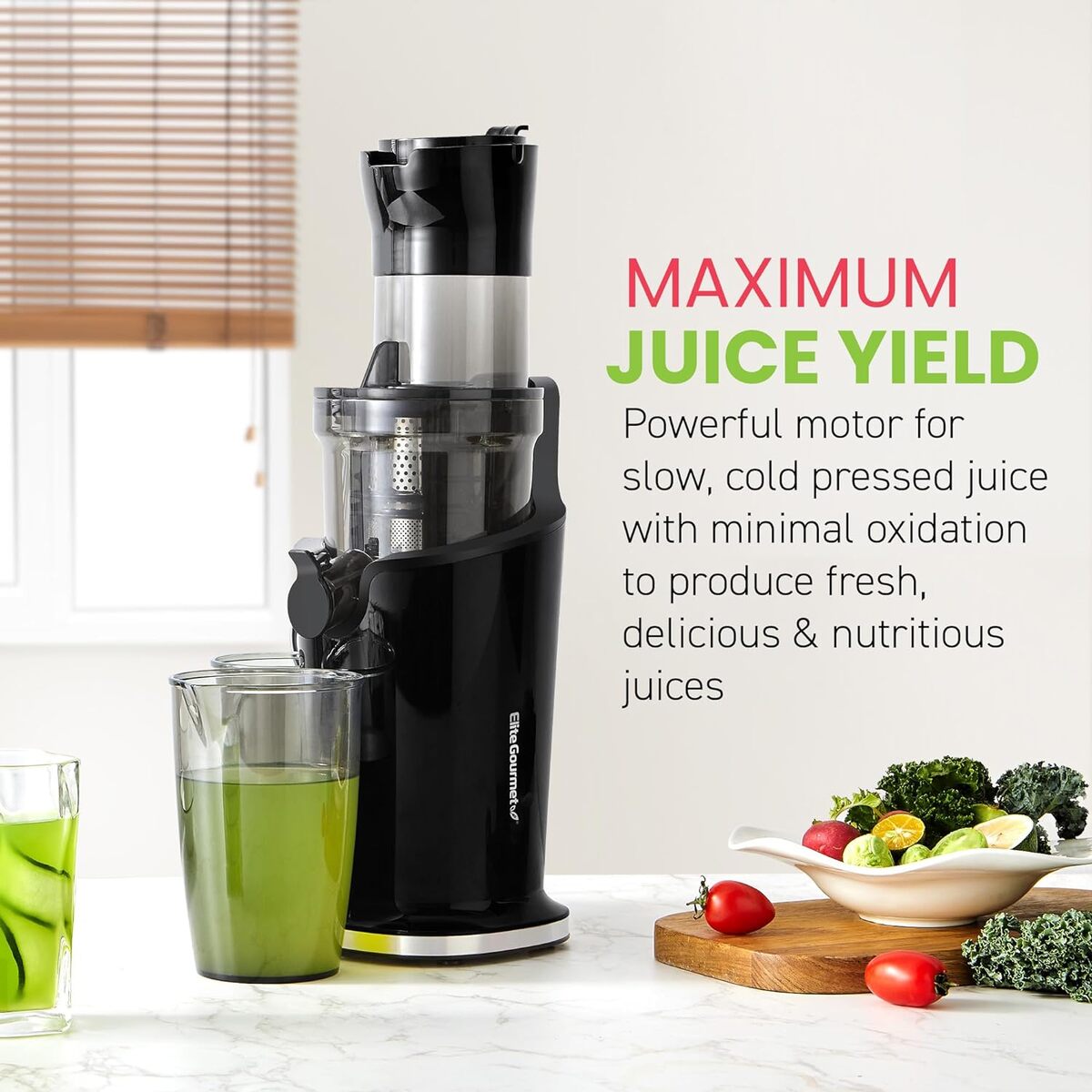 Elite Gourmet Big Mouth Slow Juicer